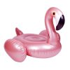 Pripučiamas plaustas flamingas (1)