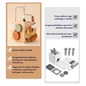 Lavinamasis-veiklos-kūbas-(12)