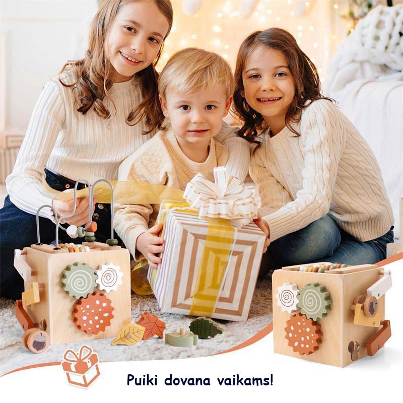 Lavinamasis veiklos kūbas (13)